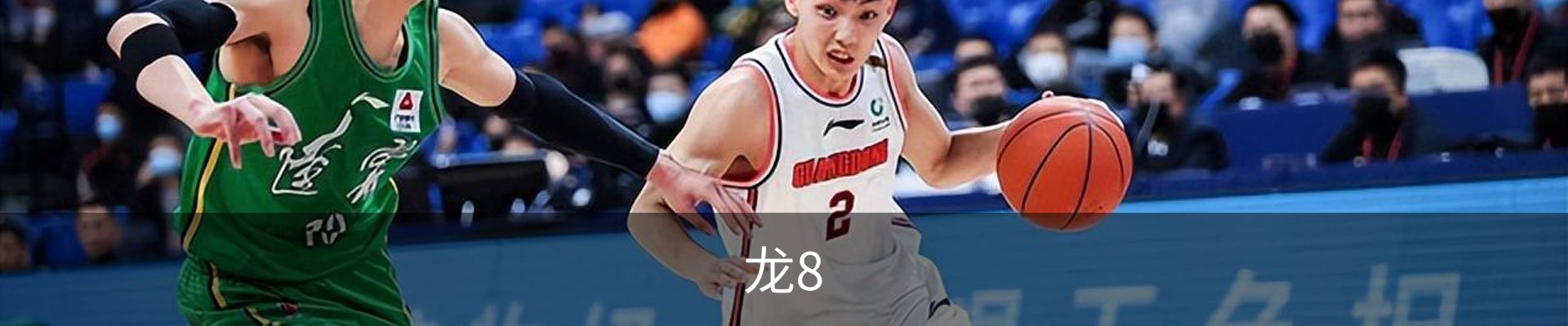龙8